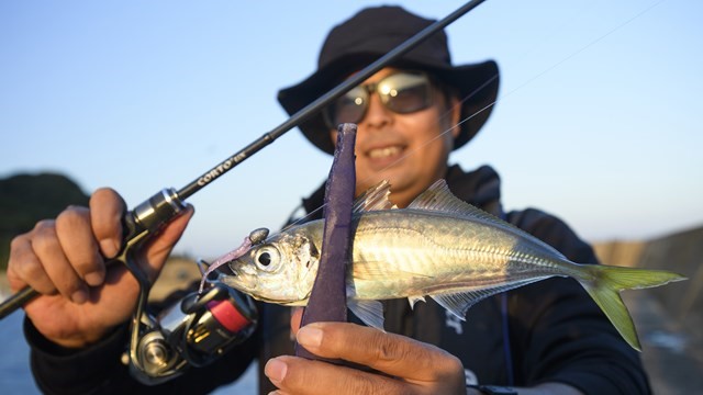 アジングされる方　必須 尺アジを目指す私が感じた、 アジング初心者の悩めるポイントとは